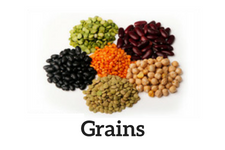 protein limit for CKD blog: grains
