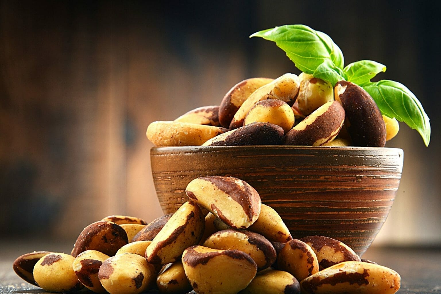 Choosing Nuts for the CKD Diet RenalTracker Blog