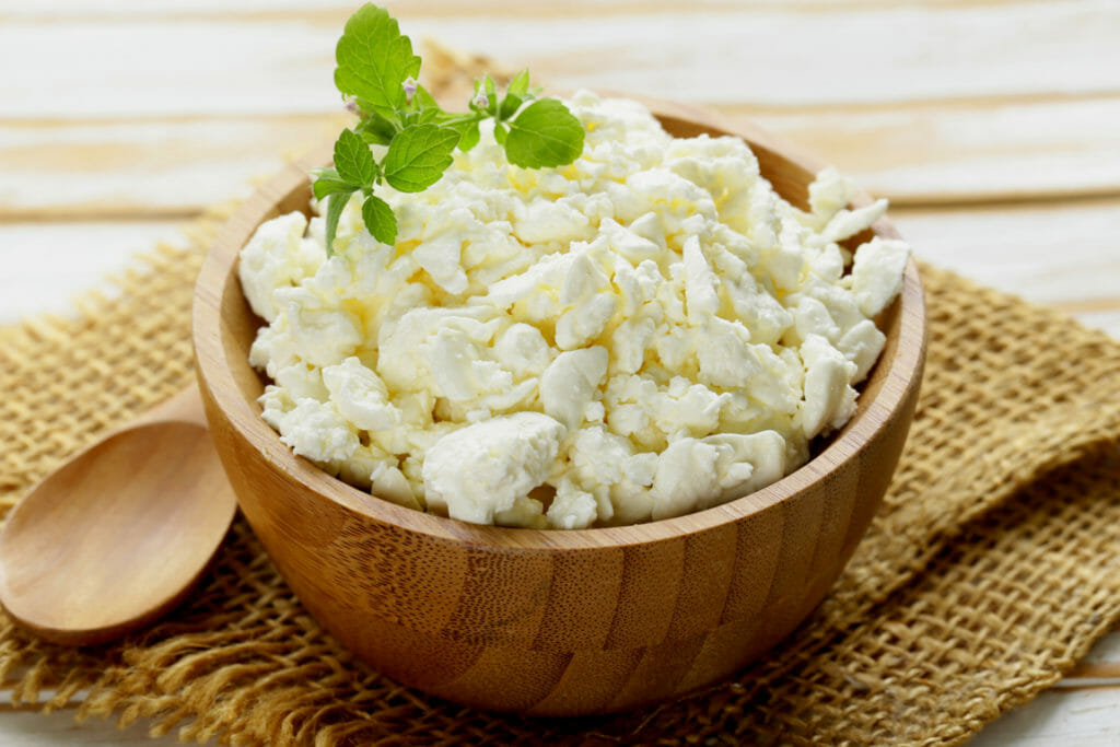 Cheese and CKD Is it a Gouda Idea? RenalTracker Blog