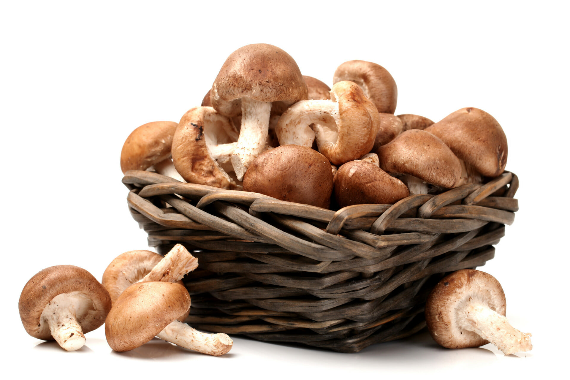 Shiitake mushrooms