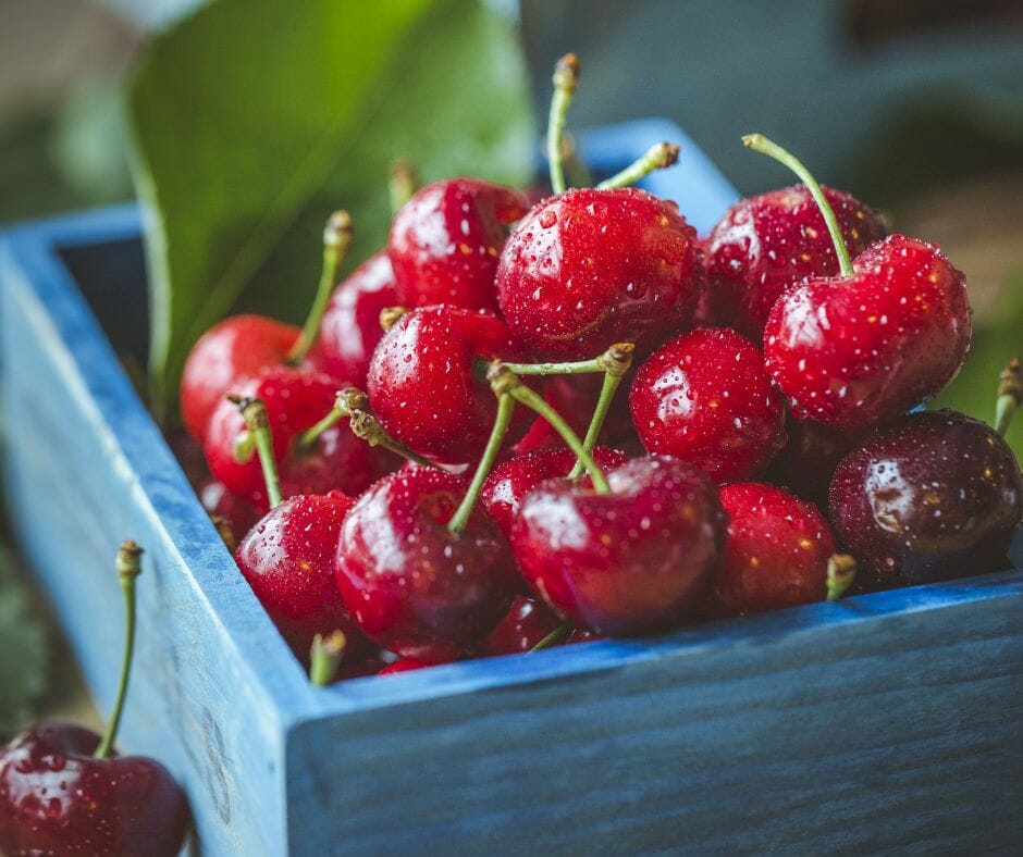 cherries and kidney disease