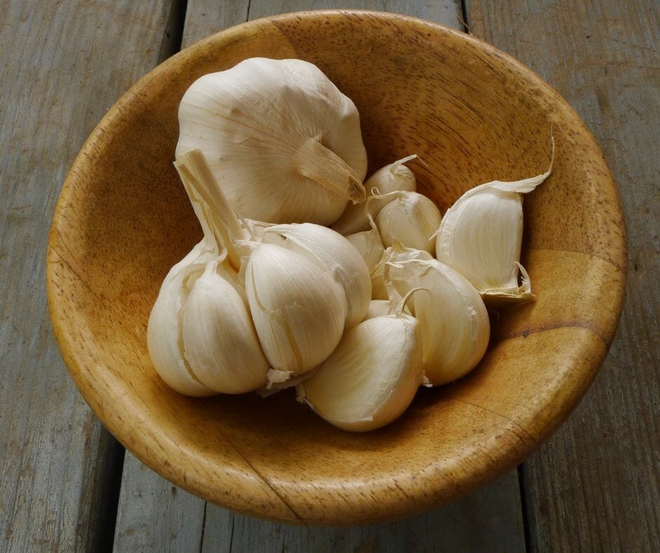 garlic and ckd