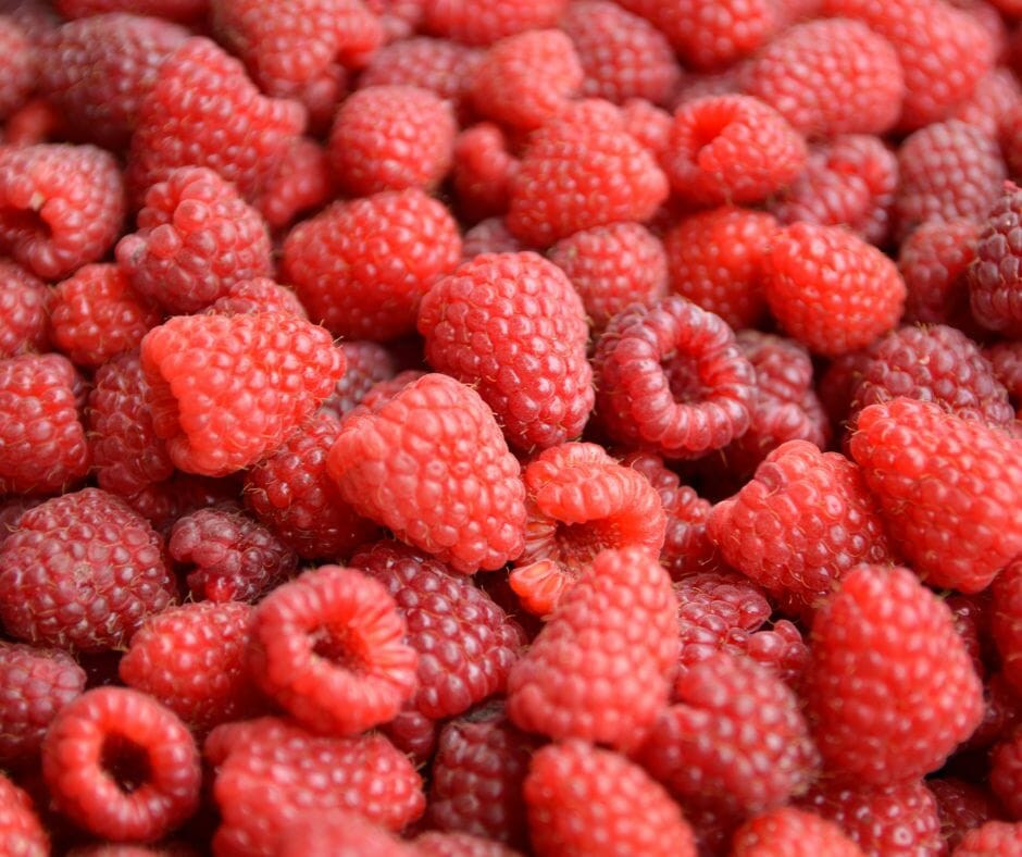 raspberries and kidney disease