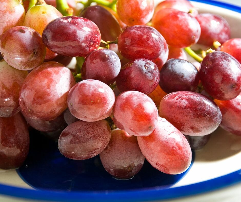 red grapes kidney disease
