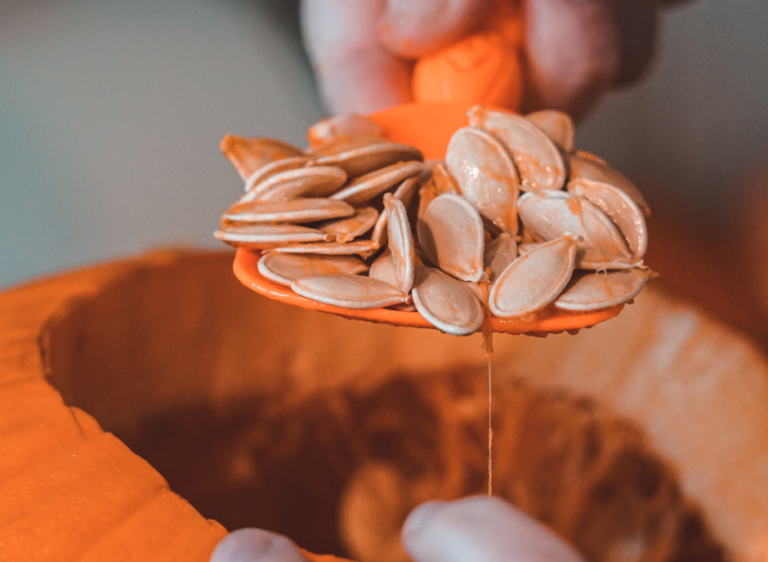 Everything You Need to Know About Pumpkin A KidneyFriendly Superfood