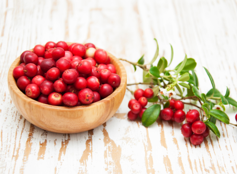 Cranberry and CKD Exploring the Benefits and Considerations