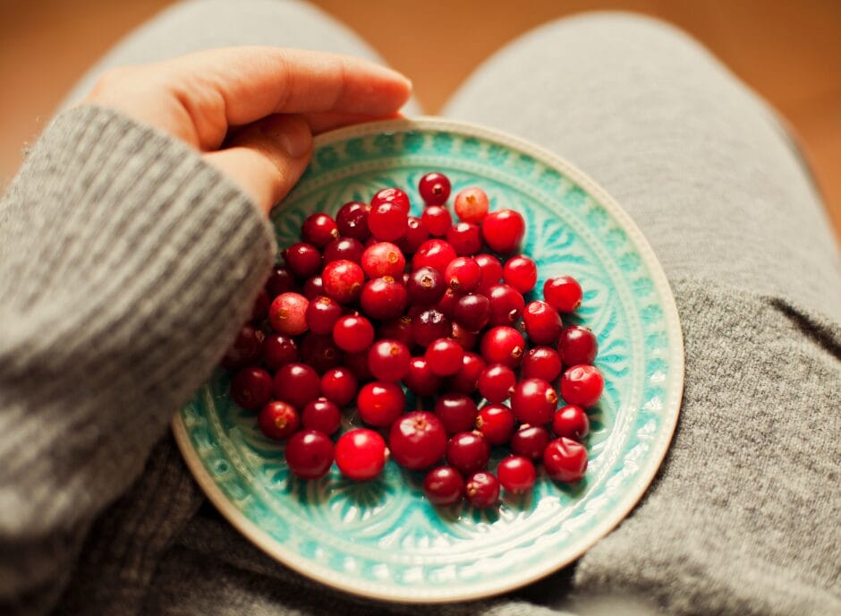 A close-up shows a person holding a small turquoise plate filled with fresh red cranberries. The person is wearing a gray, long-sleeved garment.