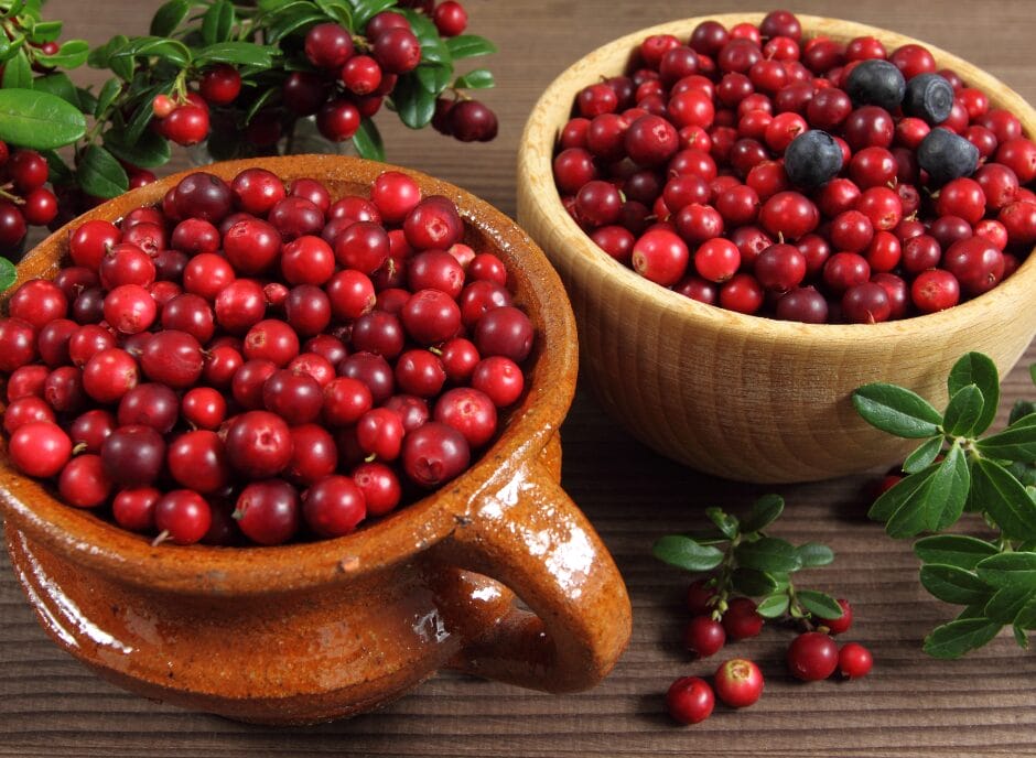 Two bowls filled with red cranberries and some scattered blueberries, set on a wooden surface with green leaves surrounding them.