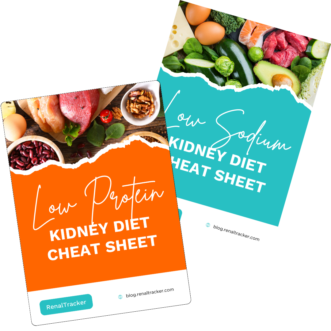 Two flyers for kidney diet cheat sheets by RenalTracker. Left flyer is for a low protein diet with an orange accent. Right flyer is for a low sodium diet with a teal accent.