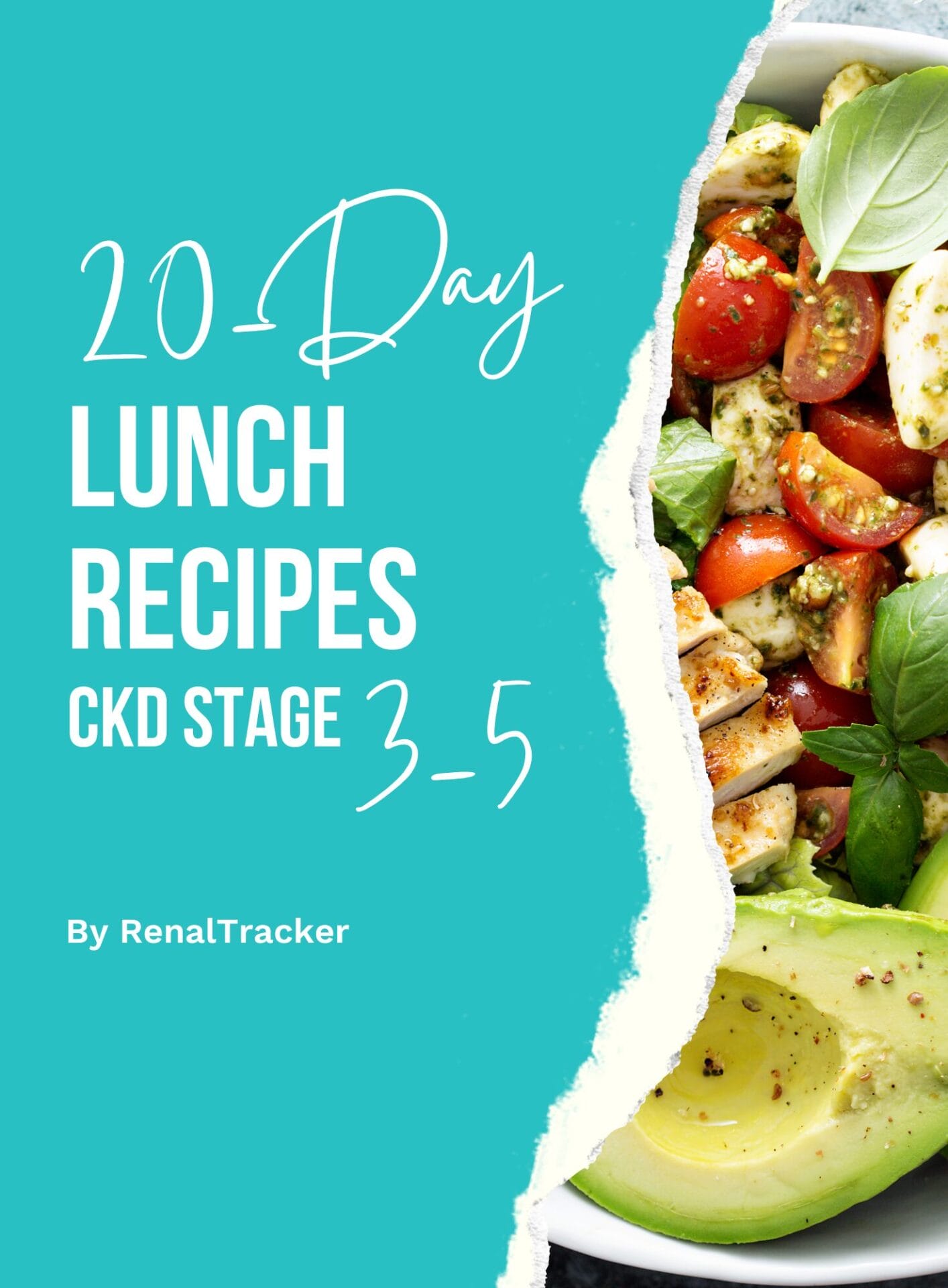 A teal cover features text "20-Day Lunch Recipes CKD Stage 3-5" by RenalTracker, alongside an image of an avocado, tomatoes, greens, and chicken salad.