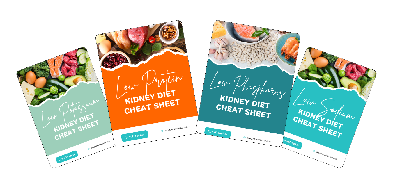 Four kidney diet cheat sheets are shown, titled "Low Potassium," "Low Protein," "Low Phosphorus," and "Low Sodium." Each is illustrated with foods appropriate for the specified diet restriction.