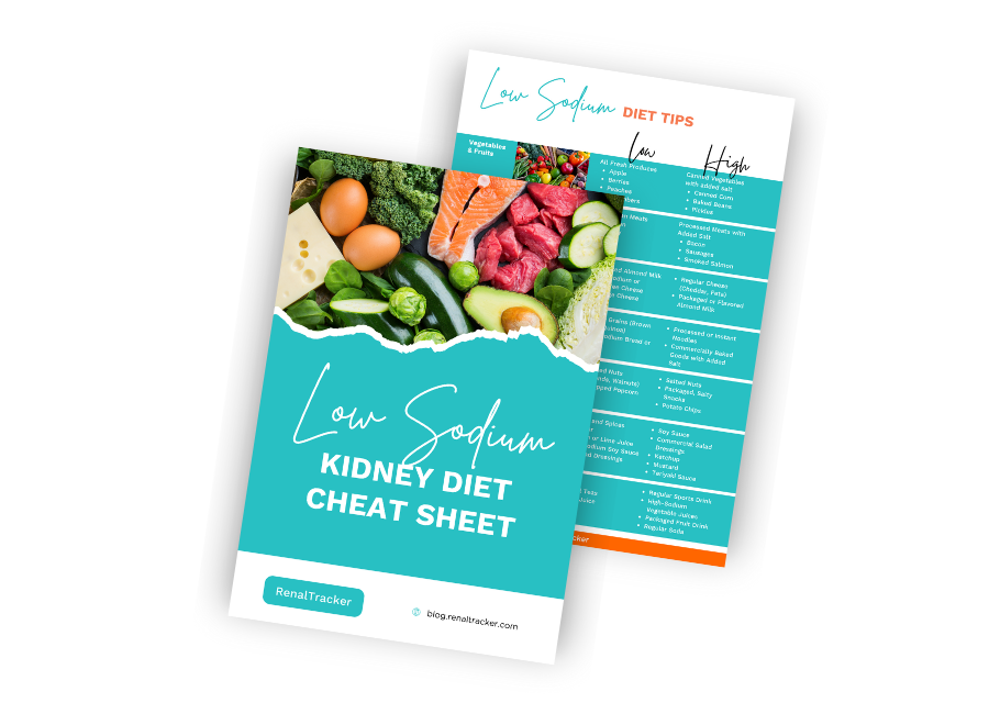 Two diet sheets about low sodium diets for kidney health. The first features various healthy foods and the title "Low Sodium Kidney Diet Cheat Sheet." The second provides diet tips in a table format.