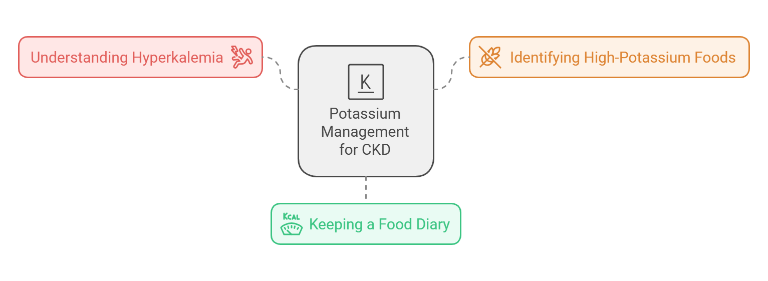 Flowchart on potassium management for CKD, linking "Understanding Hyperkalemia," "Identifying High-Potassium Foods," and "Keeping a Food Diary.