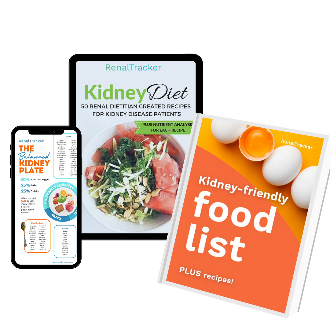 Three nutrition-focused guides for kidney health, including a diet recipe book, a food list with recipes, and a balanced kidney plate graphic.