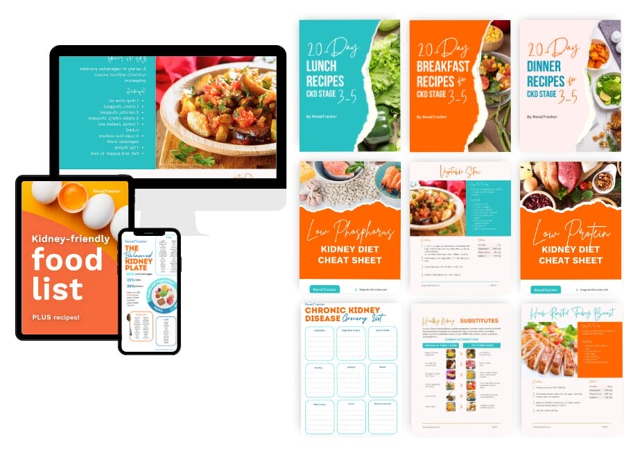 A desktop computer, tablet, and smartphone displaying kidney-friendly food lists and recipe images. Several colorful cheat sheet printouts for various meal plans are shown on the right.