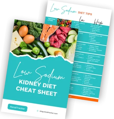 Two brochures titled "Low Sodium Kidney Diet Cheat Sheet" and "Diet Tips," featuring images of healthy foods and dietary information.