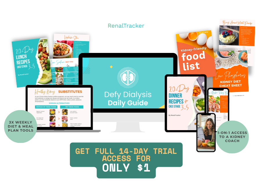 A promotional graphic for "Defy Dialysis Daily Guide" showing digital meal plans, recipe books, a laptop, a smartphone, and a "$1 for 14-day trial access" offer.